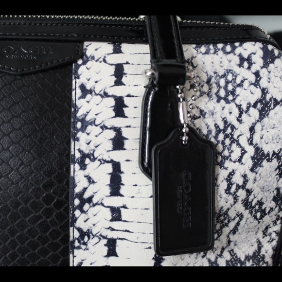 Coach - Picture 3 of 6